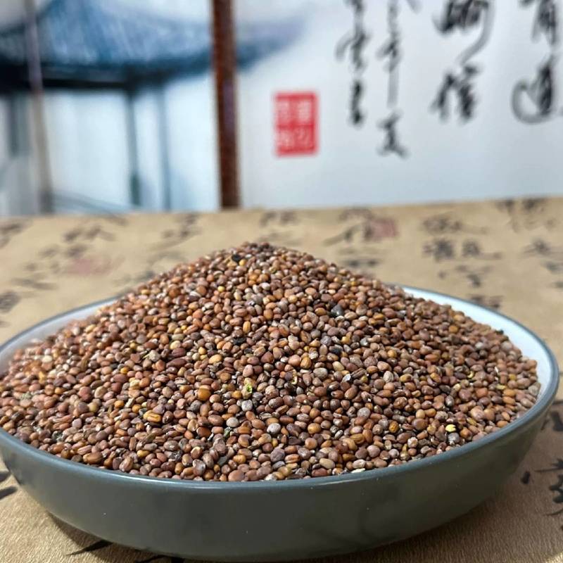 批发中药材莱菔子萝卜籽莱菔籽实物拍摄
