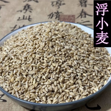 批发中药材浮小麦浮小麦中药材干净无杂浮小麦实物拍