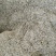 野生藤茶/茶粉/精品藤茶/藤茶原料莓茶茶叶欢迎来电选购