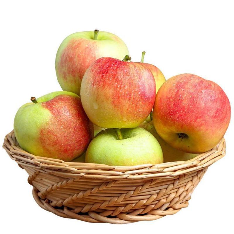 【苹果】嘎啦苹果，陆地苹果，产地直发，量大价优，接电商货