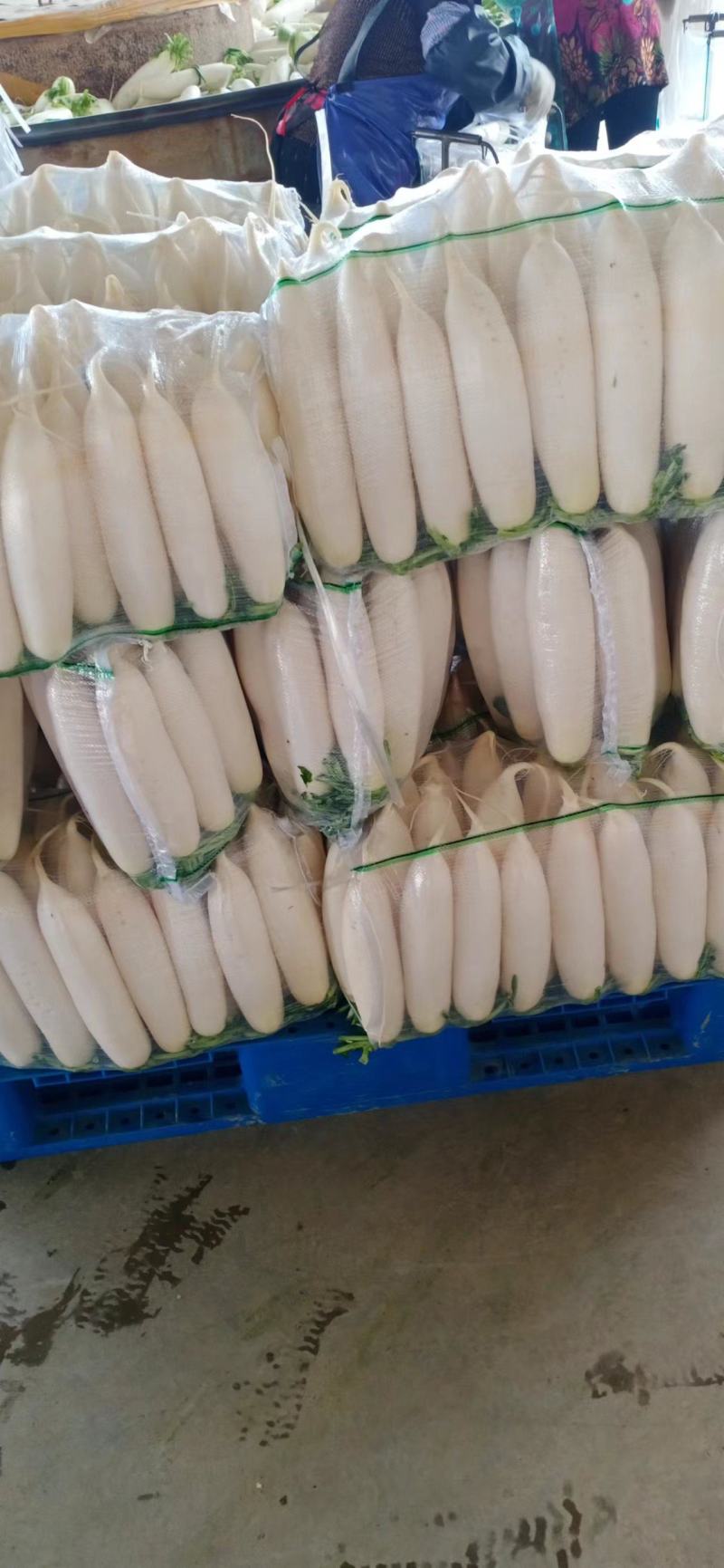 白萝卜打冷网纱袋1级货