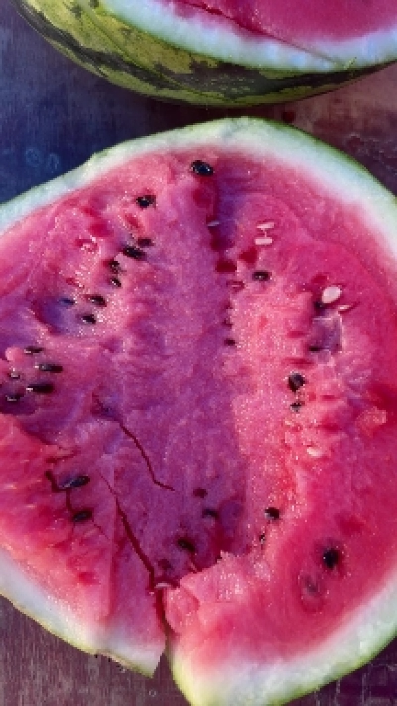 精品美都西瓜，无子西瓜，8424麒麟西瓜，质量好商超品质