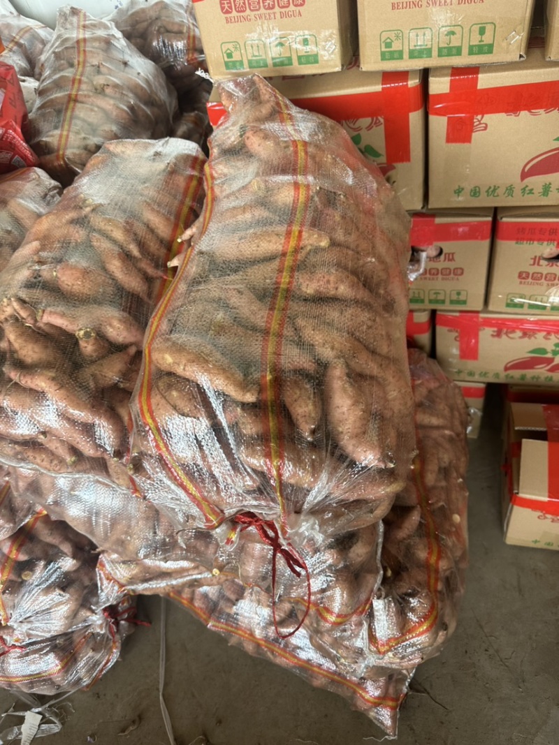 河南开封沙地红薯大量上货，蜜薯，量大从优