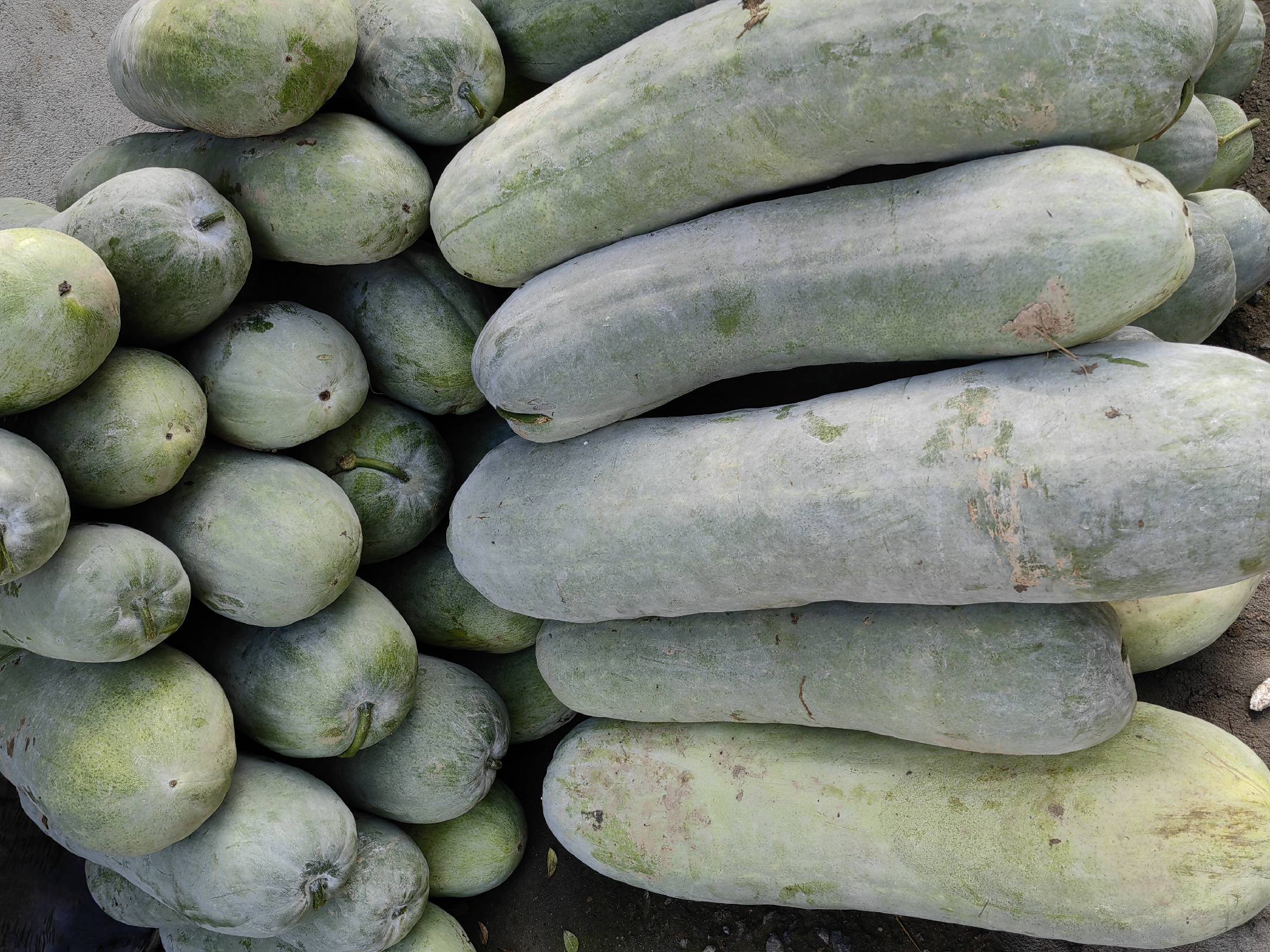 白皮冬瓜仁与冬瓜皮的日常使用方式展示图