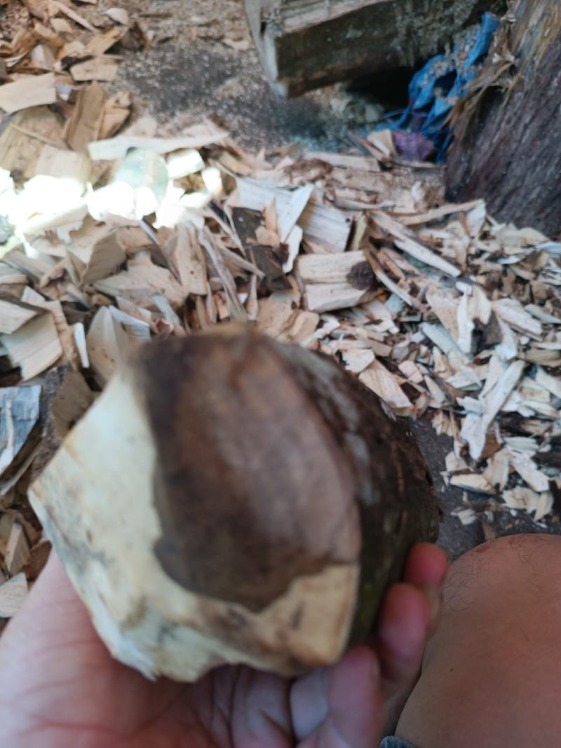 天然沉香老锯口料