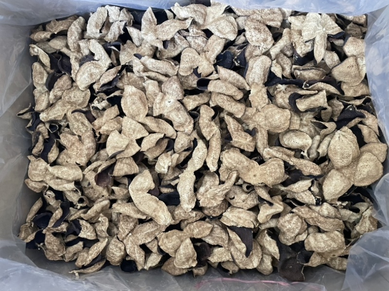 无添加货源充足大红新会陈皮