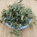 紫花地丁药用新货整颗,片,规格齐全实拍现货24小时内发货