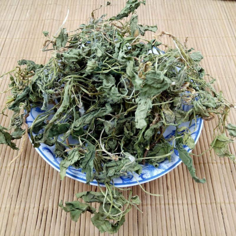 紫花地丁药用新货整颗，片，规格齐全实拍现货24小时内发货