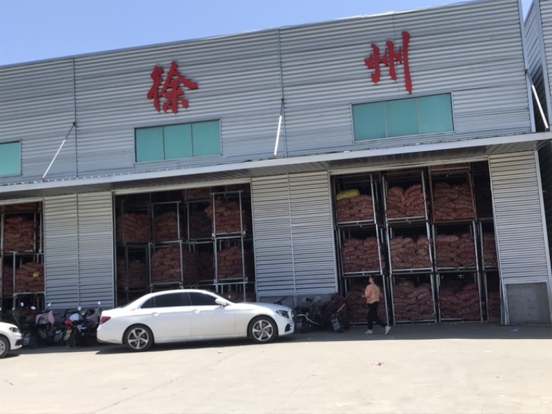 【一手货源】徐州精品红蒜货量充足量大优惠欢迎来电选购