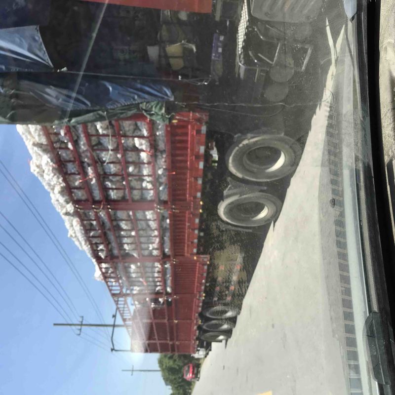 【一手货源】徐州精品红蒜货量充足量大优惠欢迎来电选购
