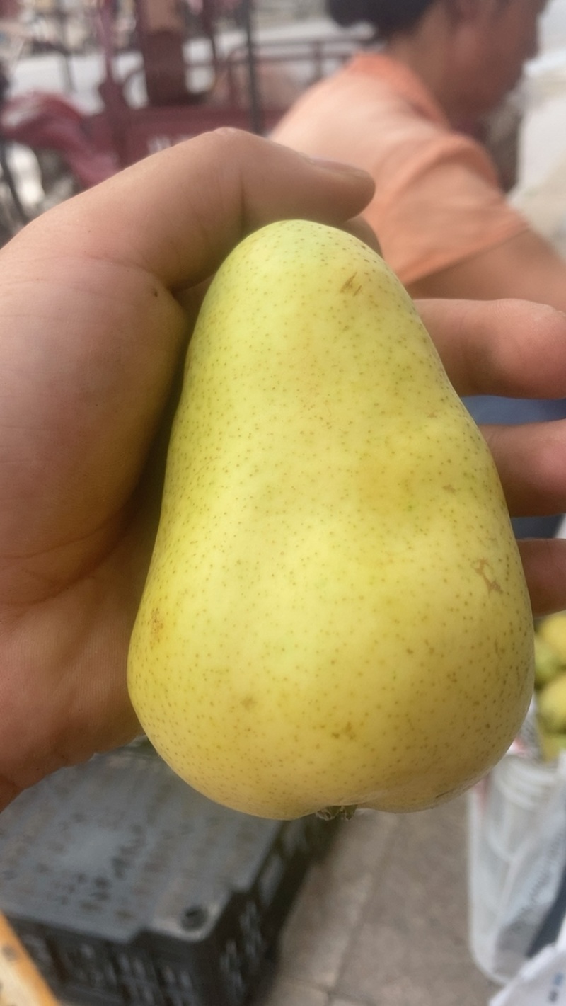 老婆梨