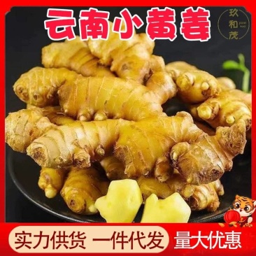 云南小黄姜新鲜批发生姜老姜新姜生鲜块姜1/2/3/5/8