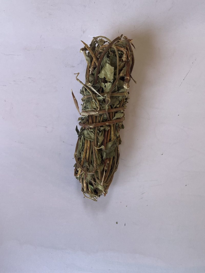 金银花忍冬藤
