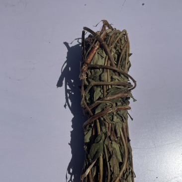 金银花忍冬藤