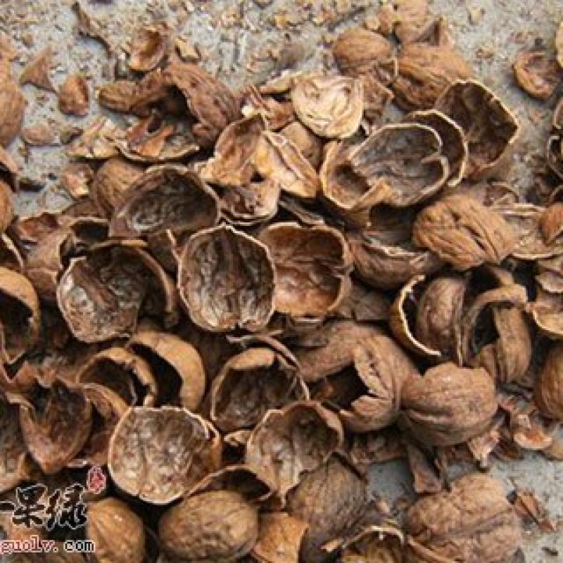 核桃皮