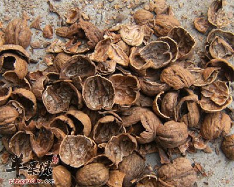 核桃皮