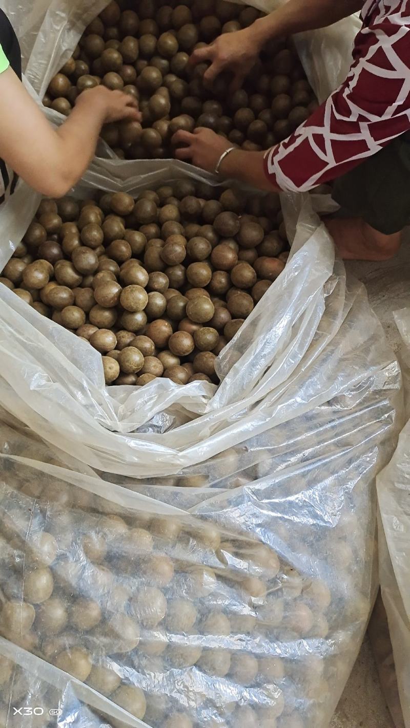 罗汉果