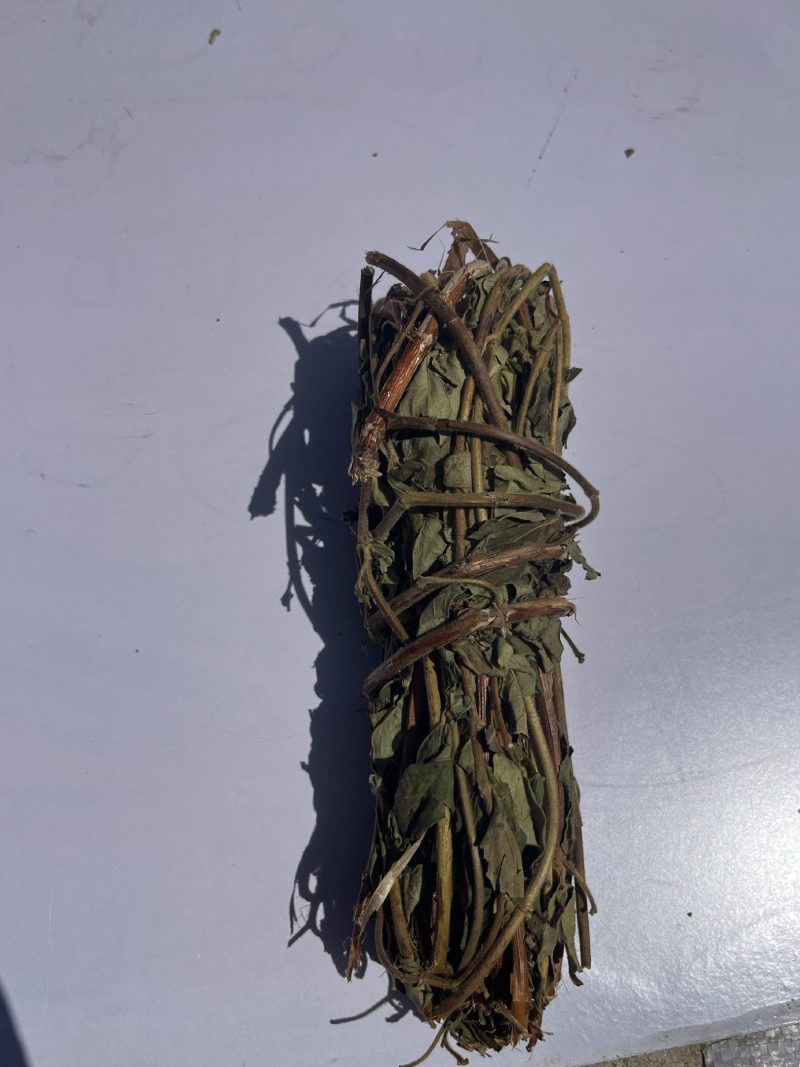 金银花忍冬藤