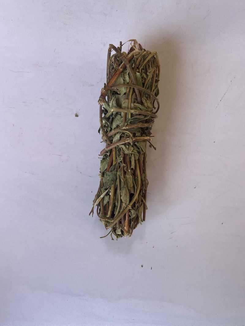金银花忍冬藤