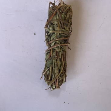 金银花忍冬藤