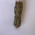 金银花忍冬藤