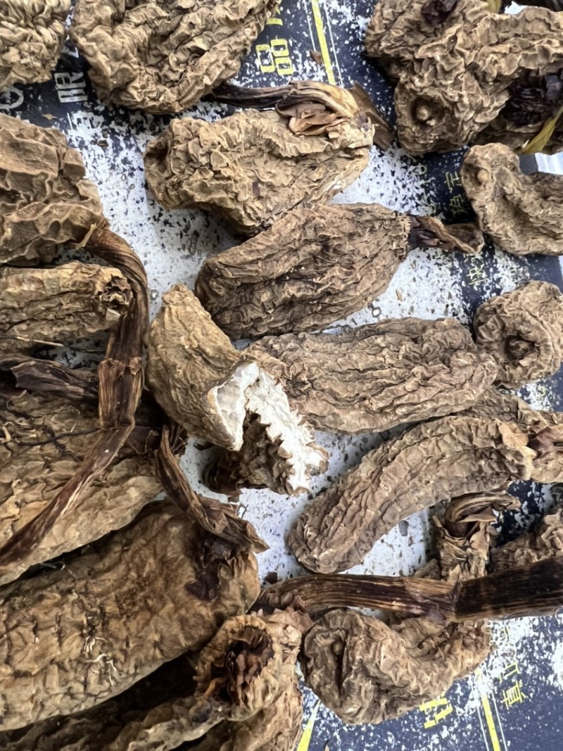 昭通乌春麻，味道香浓，好货不多，不容错过，