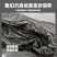新货海带福建霞浦海带干货日晒厚实海带干货农家自产自销包邮