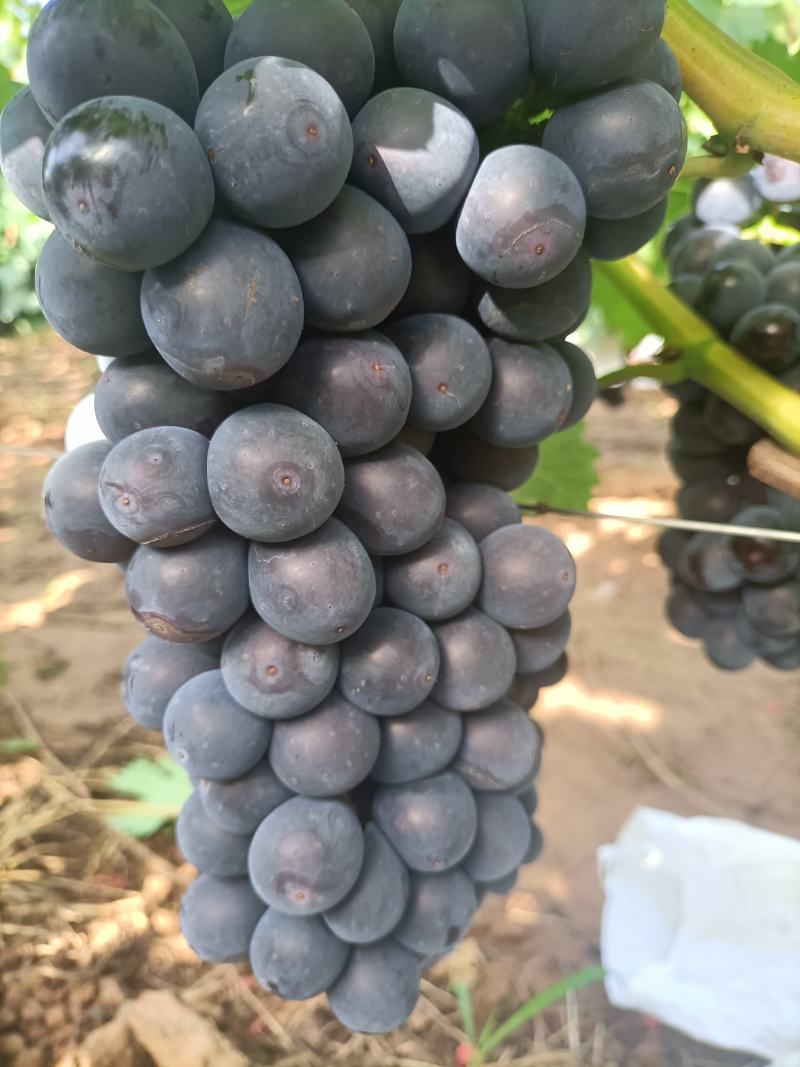 南太湖