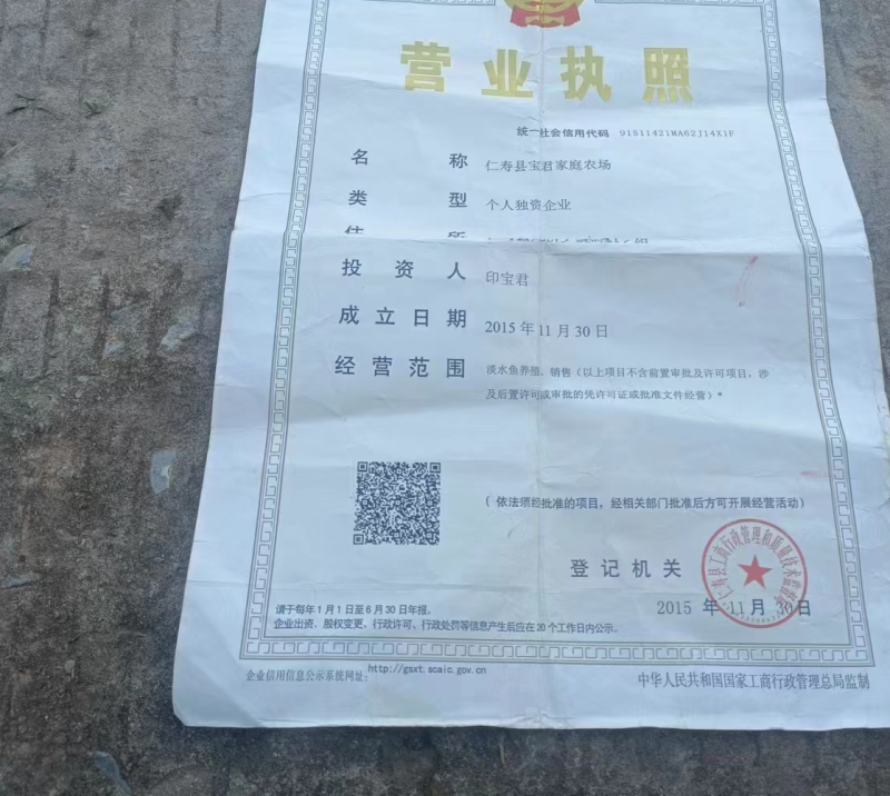 鱼苗