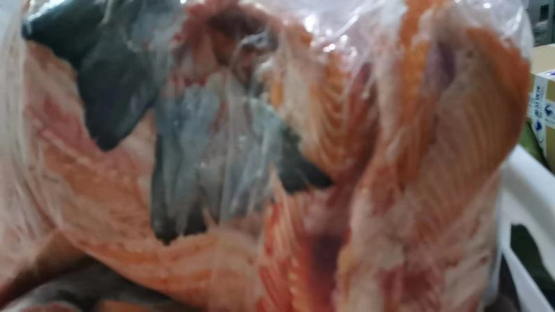 鳕鱼