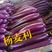 河南焦作紫长茄，广茄，紫棒长茄大量供应，电商，加工厂，欢