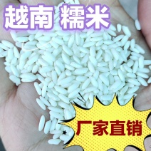 越南糯米长粒糯米糯性好食品原料做酒产地直销