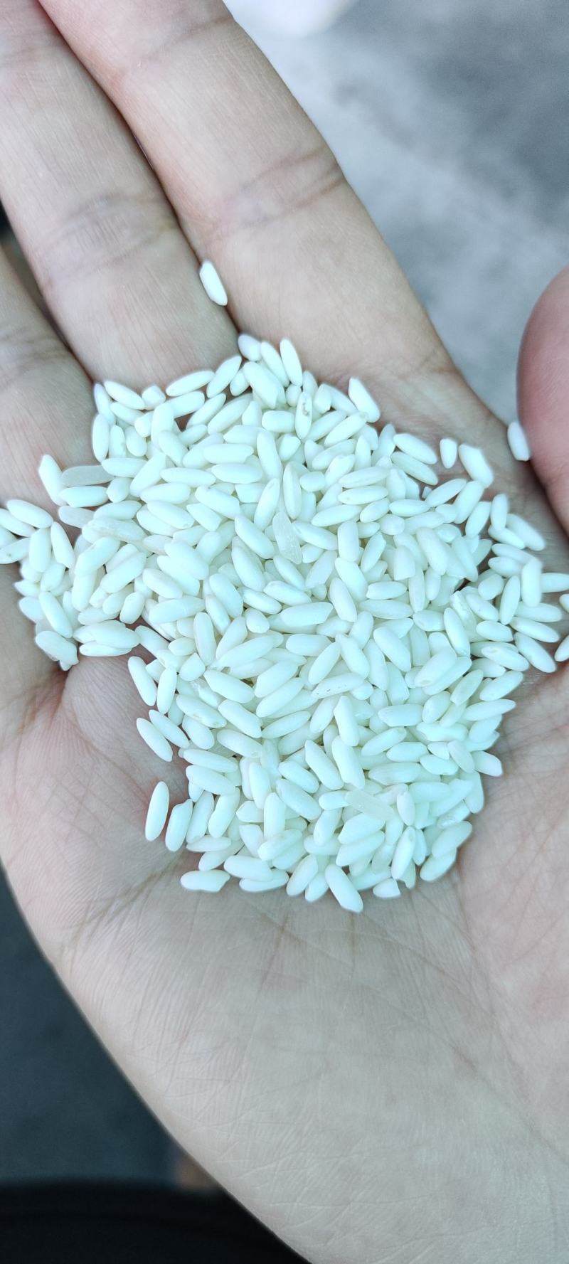越南糯米长粒糯米糯性好食品原料做酒产地直销