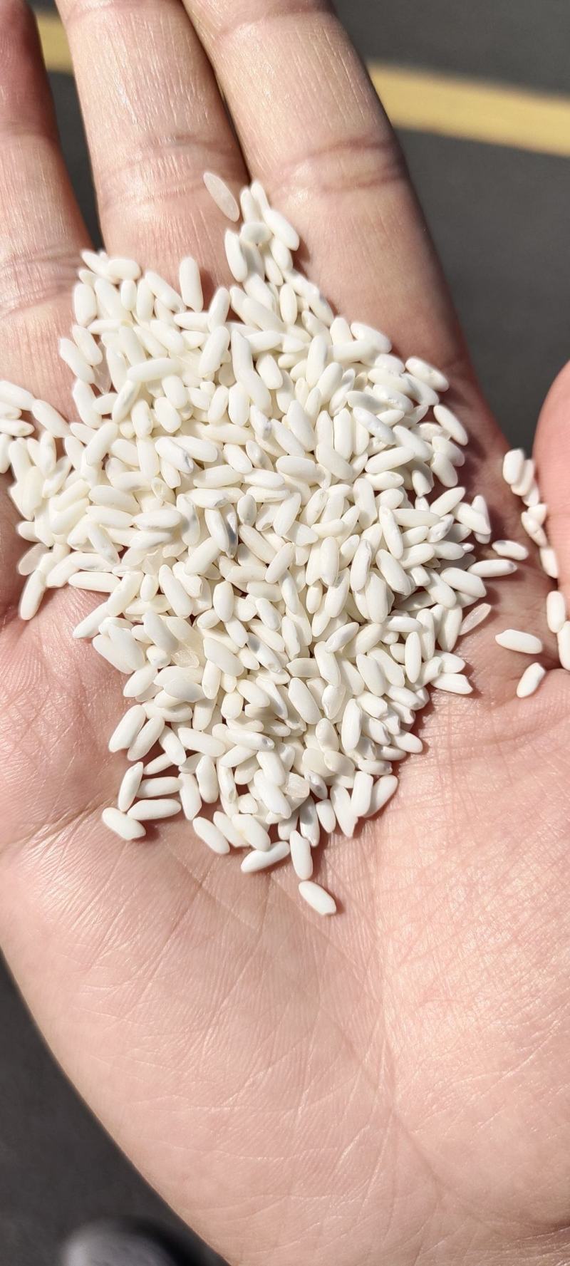 越南糯米长粒糯米糯性好食品原料做酒产地直销