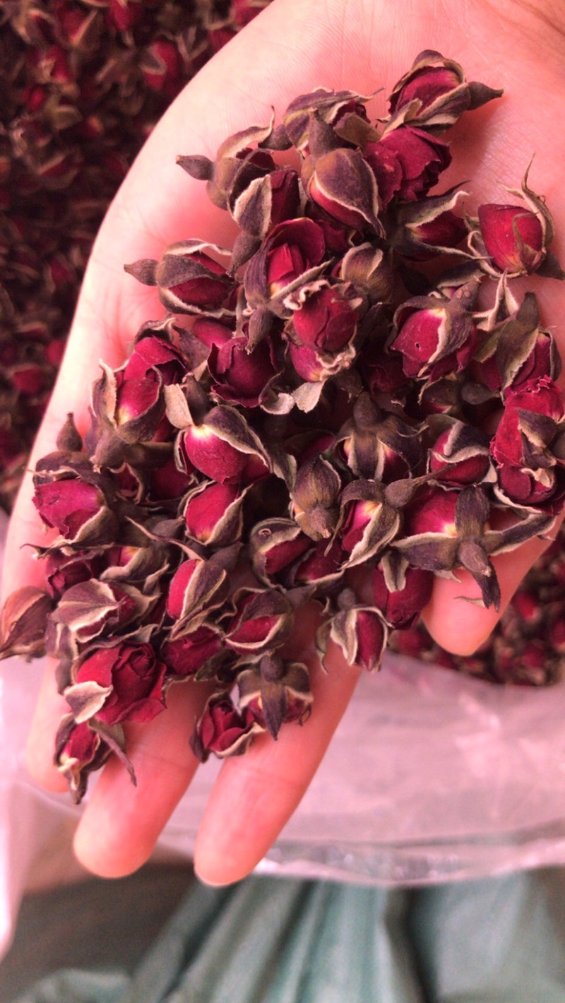 花冠金边花冠墨红一手货源价格实惠