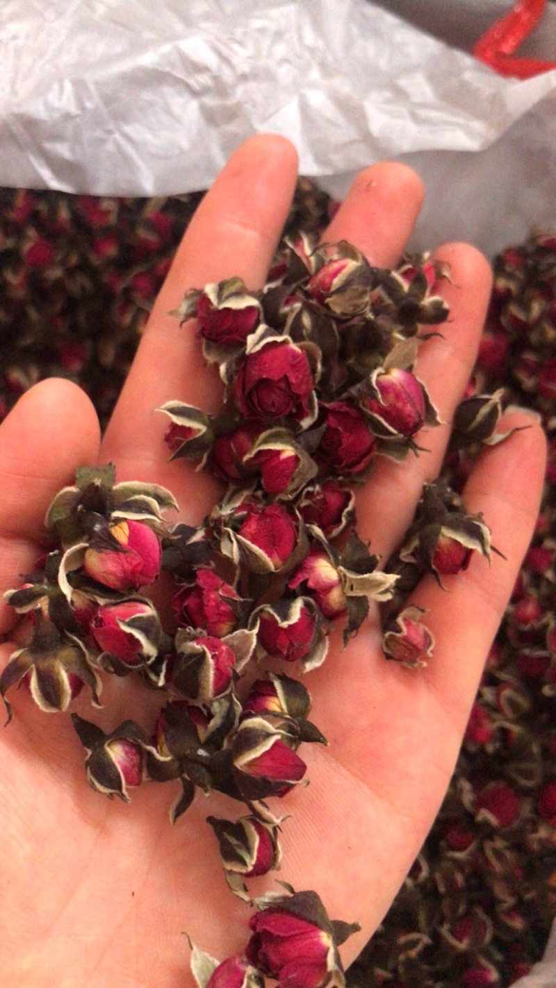 花冠金边花冠墨红一手货源价格实惠