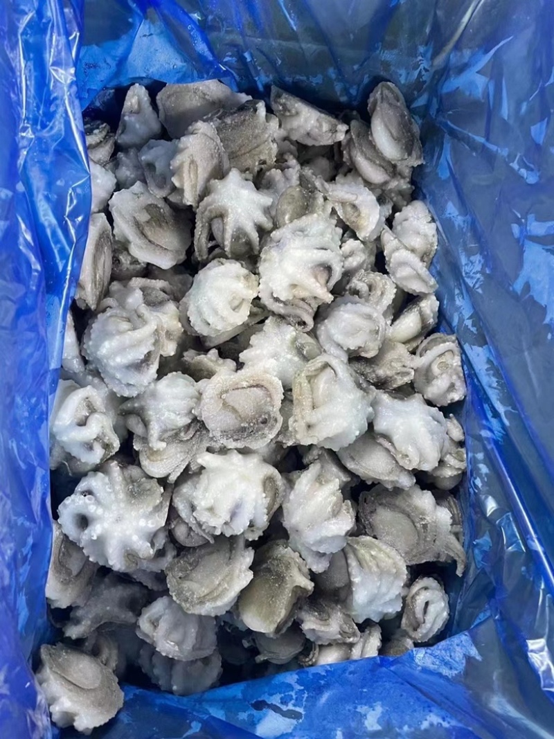 盐揉八爪鱼去内脏单冻一口章鱼连云港本地海鲜捞汁火锅批发
