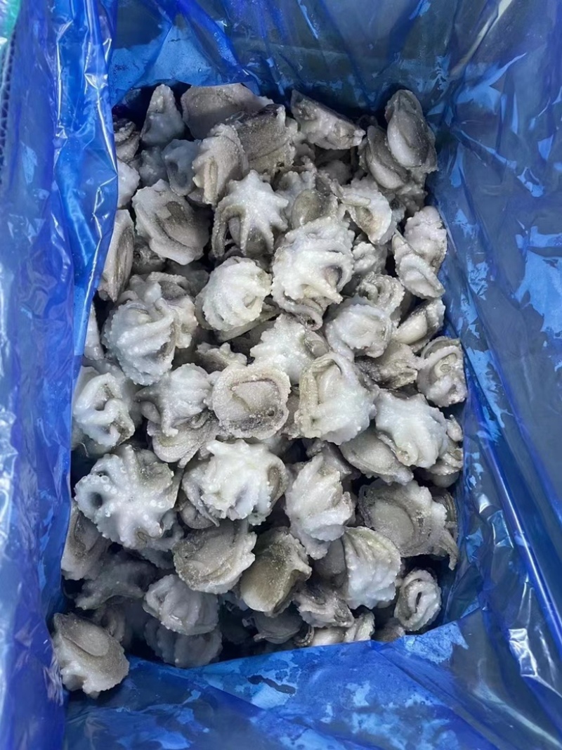 盐揉八爪鱼去内脏单冻一口章鱼连云港本地海鲜捞汁火锅批发