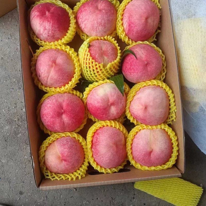早燕桃大量上市需要得联系