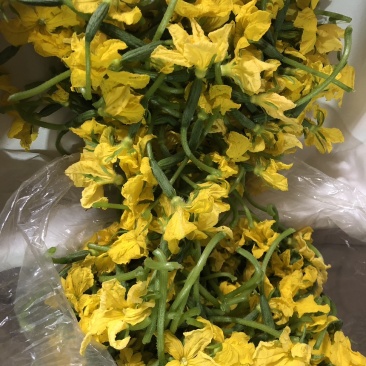 黄瓜花大量现货