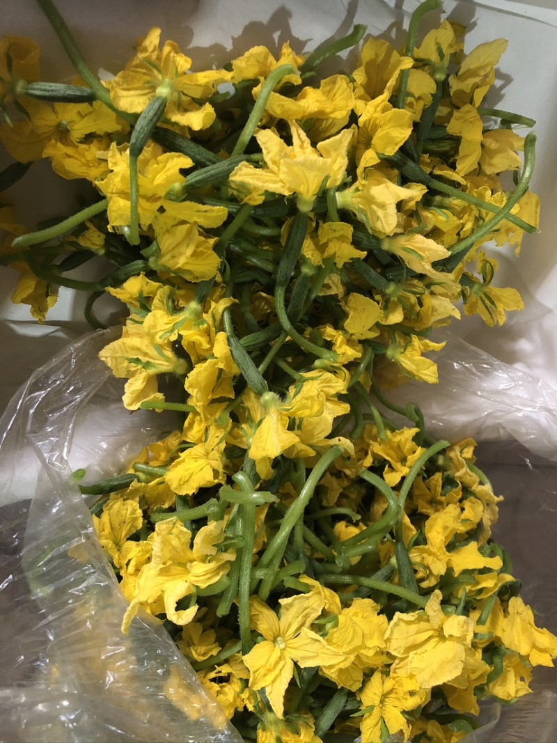 黄瓜花大量现货