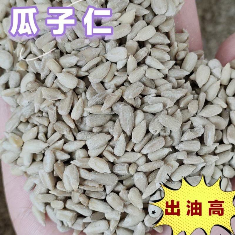 瓜子仁葵花籽烘焙原料榨油出油高厂家直销