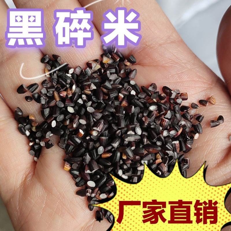 黑碎米黑香米碎米头磨粉磨面黑粒食品原料现货批发