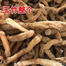 湘玉竹玉竹尾参