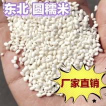 糯米江米包粽子现货批发东北香糯米软糯粘香酒酿原料