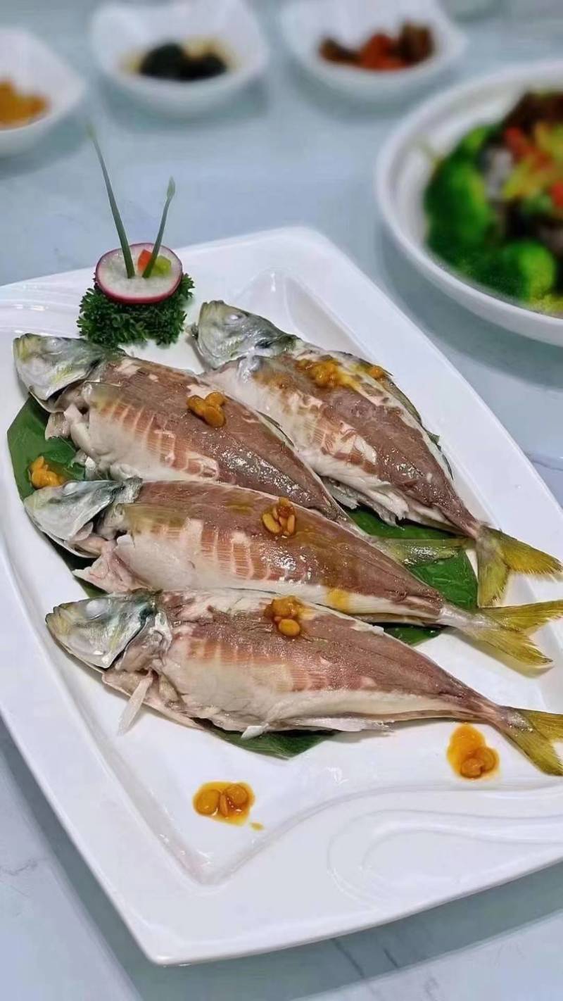 活冻巴浪鱼养殖巴浪鱼