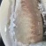 活冻巴浪鱼养殖巴浪鱼