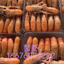 刺身螯虾