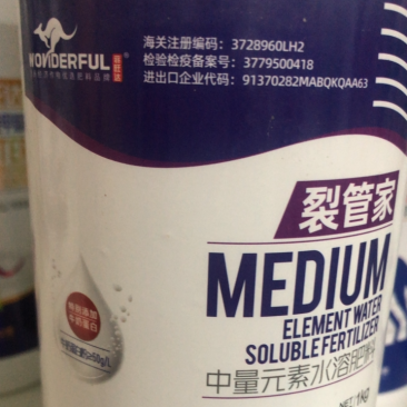 果实圆润防裂果叶片靓丽防空心果色泽好看提高品质增加产量