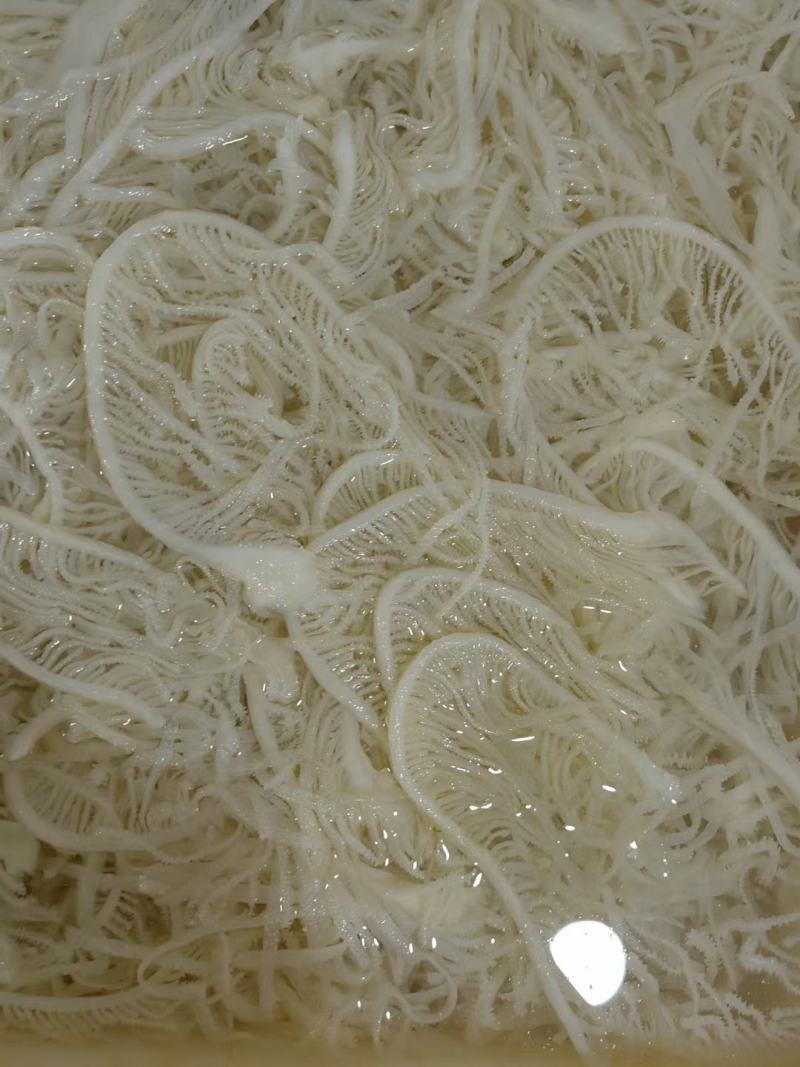 新鲜黑白千层毛肚丝牛百叶毛肚批发涮火锅冒菜食材全套商用